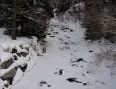 Purge Barrage des Toules F  vrier 2010 019