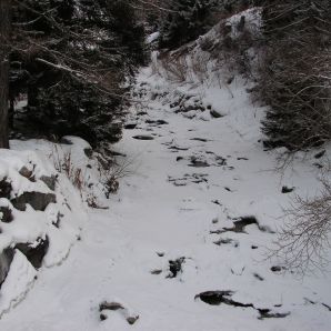 Purge Barrage des Toules F  vrier 2010 019