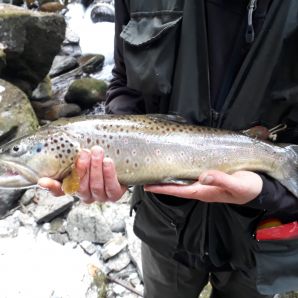 Ouverture de la pêche 2019